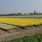 Pretty In Sint Maartenszee * Sint Maartensvlotbrug