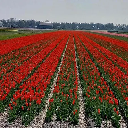Hébergement de vacances Pretty In Sint Maartenszee Sint Maartensvlotbrug