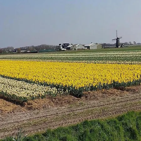 Pretty In Sint Maartenszee * Sint Maartensvlotbrug