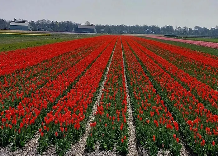 Semesterbostad Pretty In Sint Maartenszee Sint Maartensvlotbrug