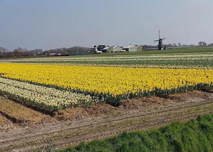 Pretty In Sint Maartenszee * Sint Maartensvlotbrug